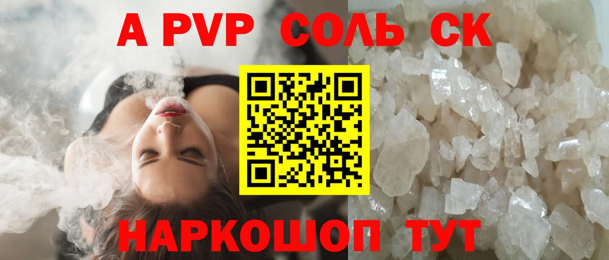 A PVP СК Щёлково