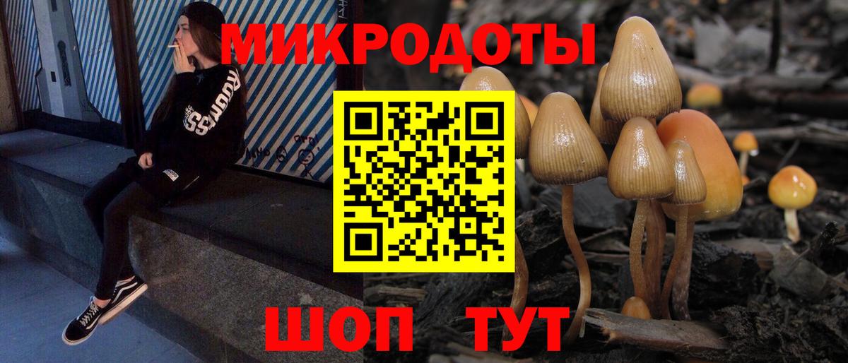 Галлюциногенные грибы Psilocybine cubensis  Вход с VPN  Щёлково 