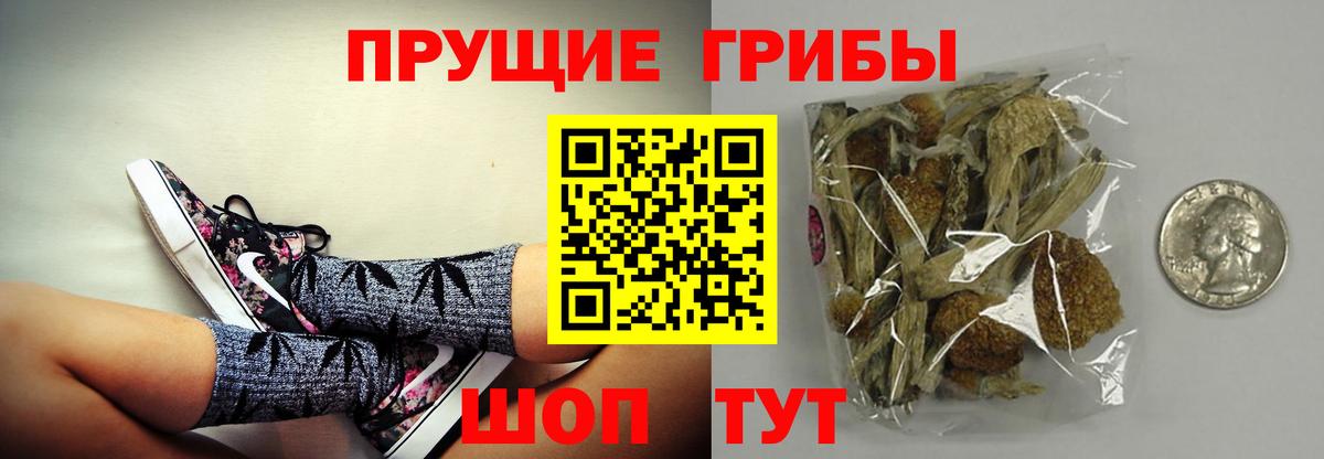 Псилоцибиновые грибы MAGIC MUSHROOMS Щёлково